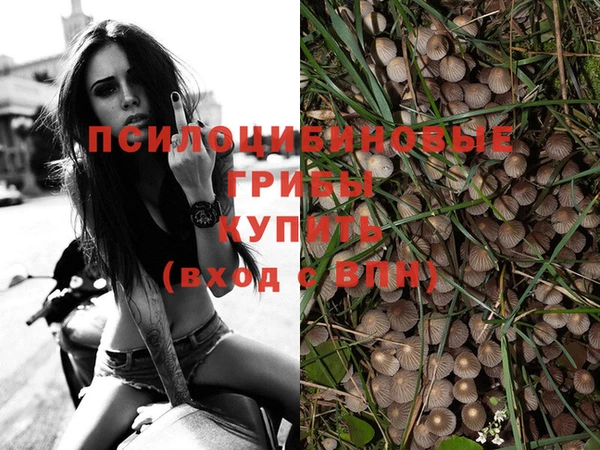 не бодяженный Наволоки