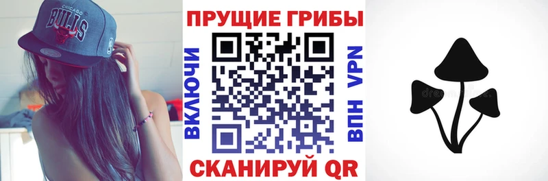 Галлюциногенные грибы Psilocybine cubensis Старый Оскол