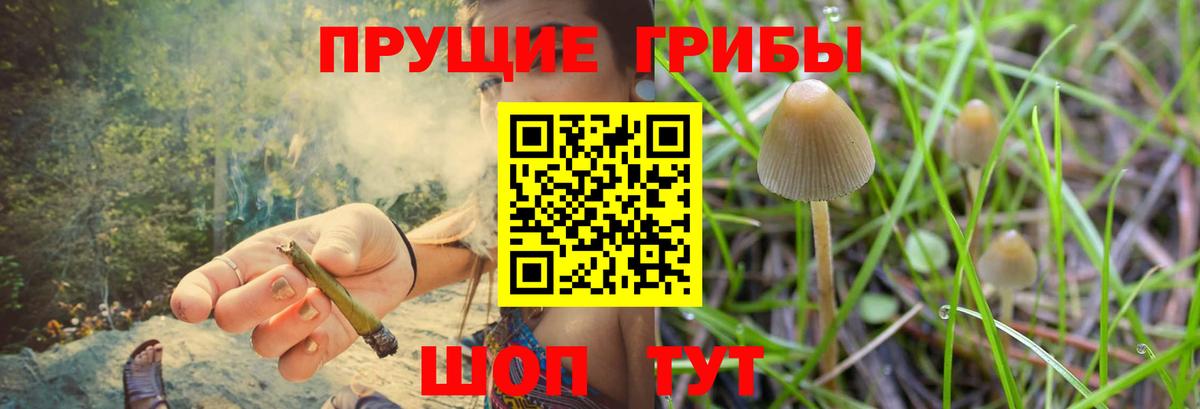 Галлюциногенные грибы мицелий Старый Оскол