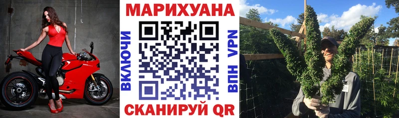 Каннабис OG Kush  Старый Оскол 